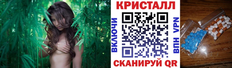 Купить где  Верхняя Пышма  Amphetamine Розовый 