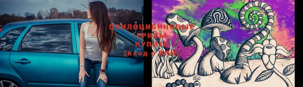 соль курить ск Козельск