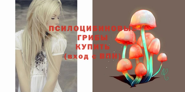 прущая мука Костерёво