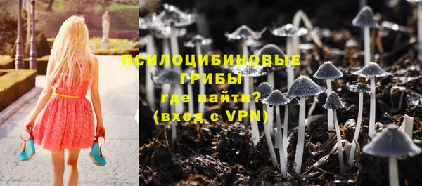 меф Корсаков